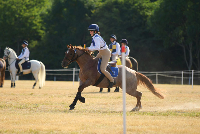 MG_image_4_685x460 Image