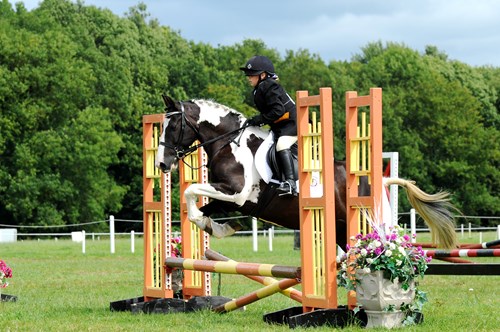 Gallery Image for Pony Club