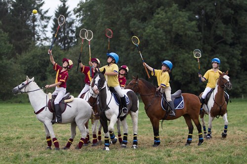 Gallery Image for Pony Club