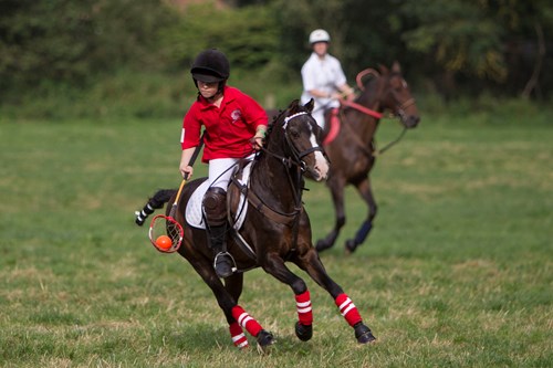 Gallery Image for Pony Club