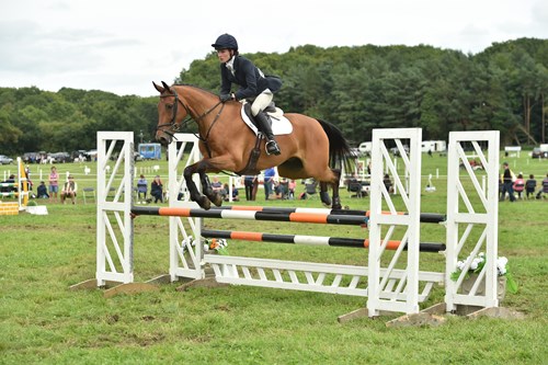 Gallery Image for Pony Club