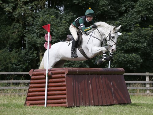Gallery Image for Pony Club