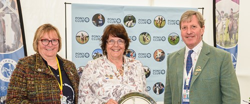 Gallery Image for Pony Club