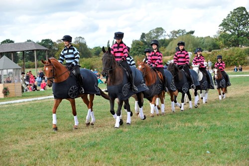 Gallery Image for Pony Club