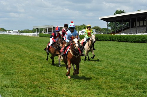 Gallery Image for Pony Club